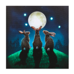 Light up Canvas Lisa Parker Moon Shadows